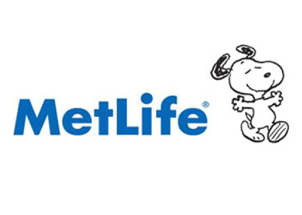 Metlife Insurance