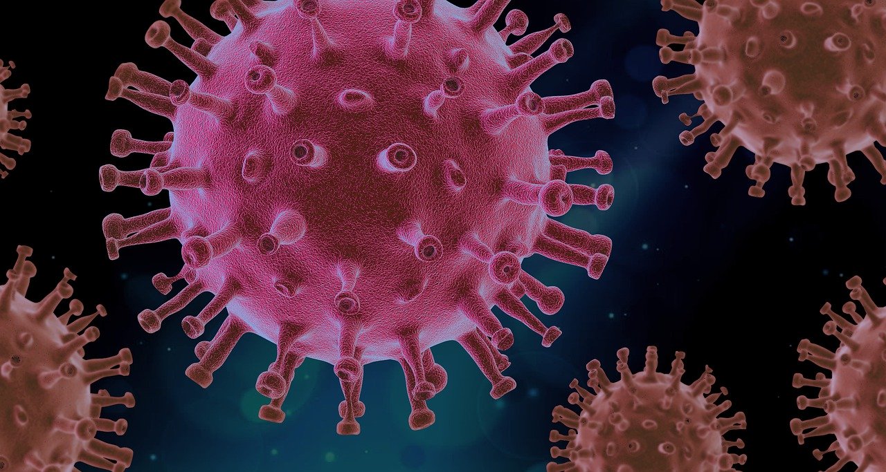 Germs