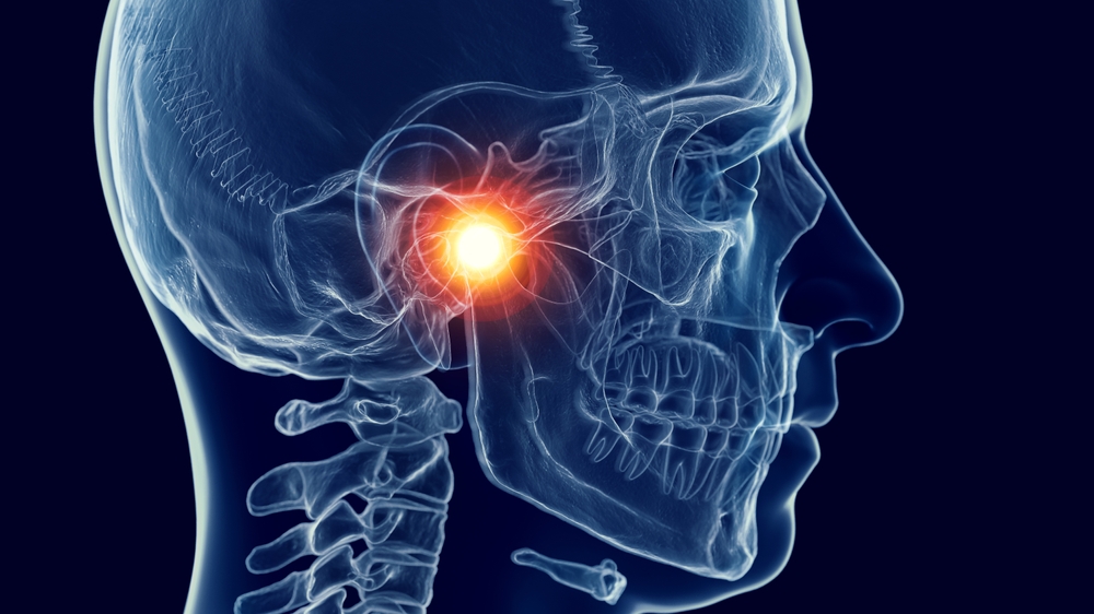 location of temporomandibular joint